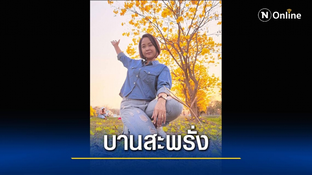 "ดอกเหลืองเชียงราย"บานสะพรั่ง-งดงาม "ดอกเหลืองเชียงราย"บานสะพรั่ง-งดงาม