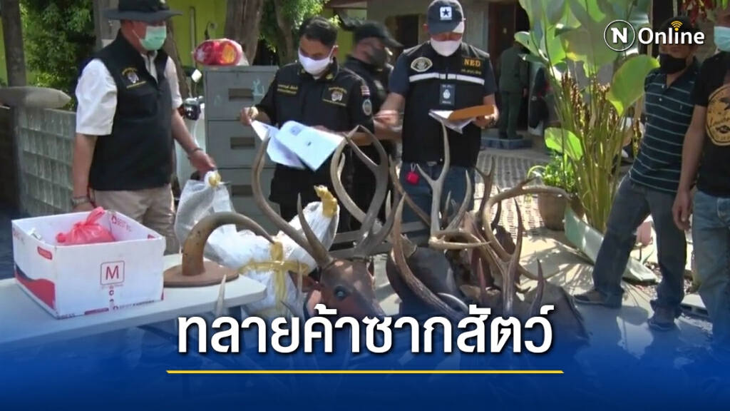 ทลายแหล่งค้าซากสัตว์ป่ารายใหญ่กลางเมืองเชียงใหม่