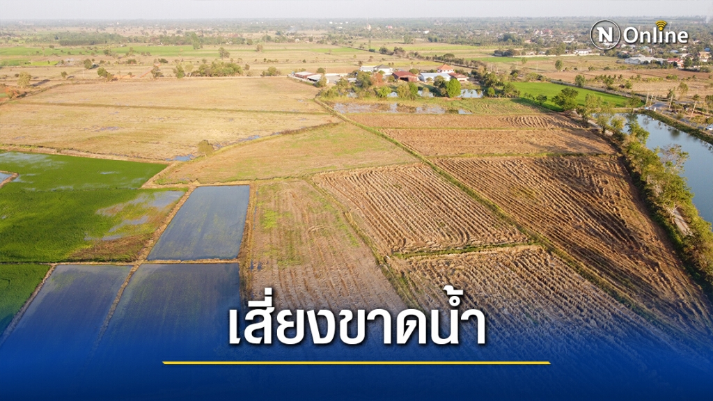 เกษตรกรเร่งสูบน้ำใส่ข้าวนาปรัง ไม่สนคำเตือนเกษตรอำเภอ