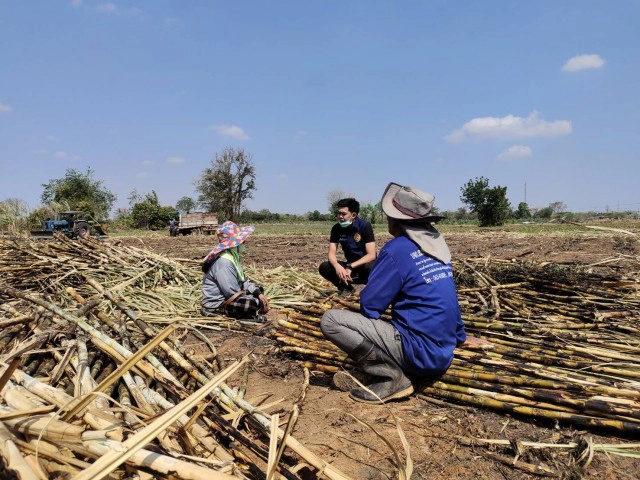 จับดำเนินคดีตาวัย73ปีเผาไร่อ้อยตนเองลามไหม้ป่าเสียหาย