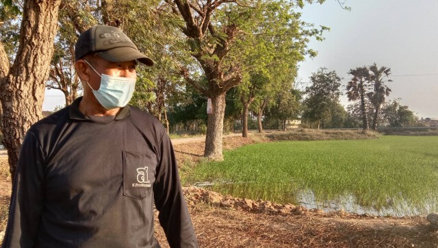 เกษตรกรเร่งสูบน้ำใส่ข้าวนาปรัง ไม่สนคำเตือนเกษตรอำเภอ