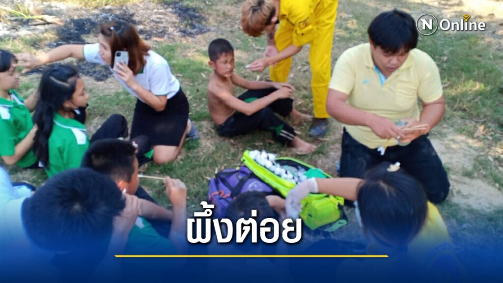 ผึ้งแตกรังรุมต่อยครูนักเรียนบาดเจ็บเกือบ 20 ราย