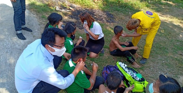 ผึ้งแตกรังรุมต่อยครูนักเรียนบาดเจ็บเกือบ 20 ราย