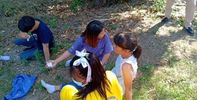 ผึ้งแตกรังรุมต่อยครูนักเรียนบาดเจ็บเกือบ 20 ราย