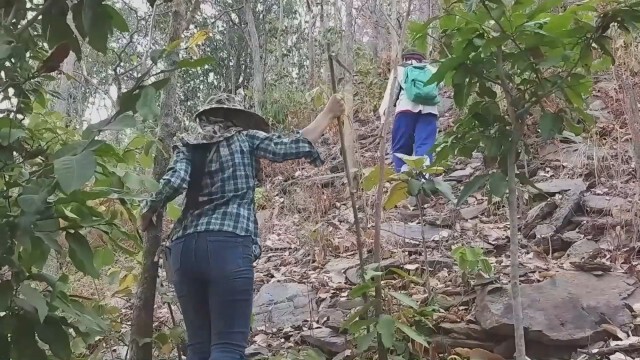 หวั่นแตกตื่นหาทองบน"เขาพระบาทใหญ่"