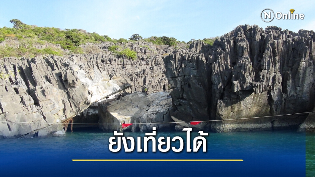 ตรวจสอบหินดึกดำบรรพ์สไลด์ ตรวจสอบหินดึกดำบรรพ์สไลด์