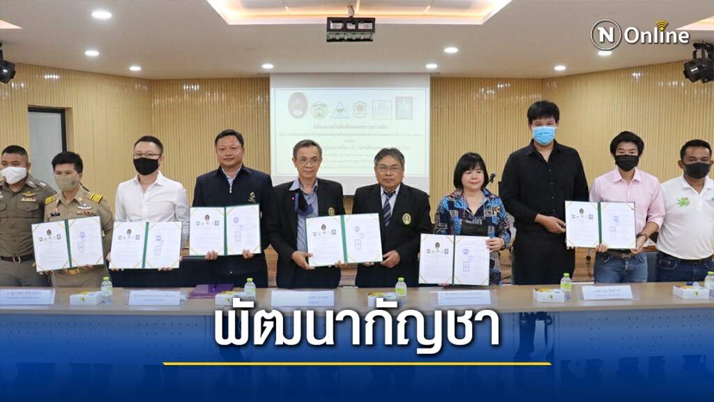 ขับเคลื่อนกัญชาเต็มสูบ เชื่อม7 หน่วยงานทำเอ็มโอยู