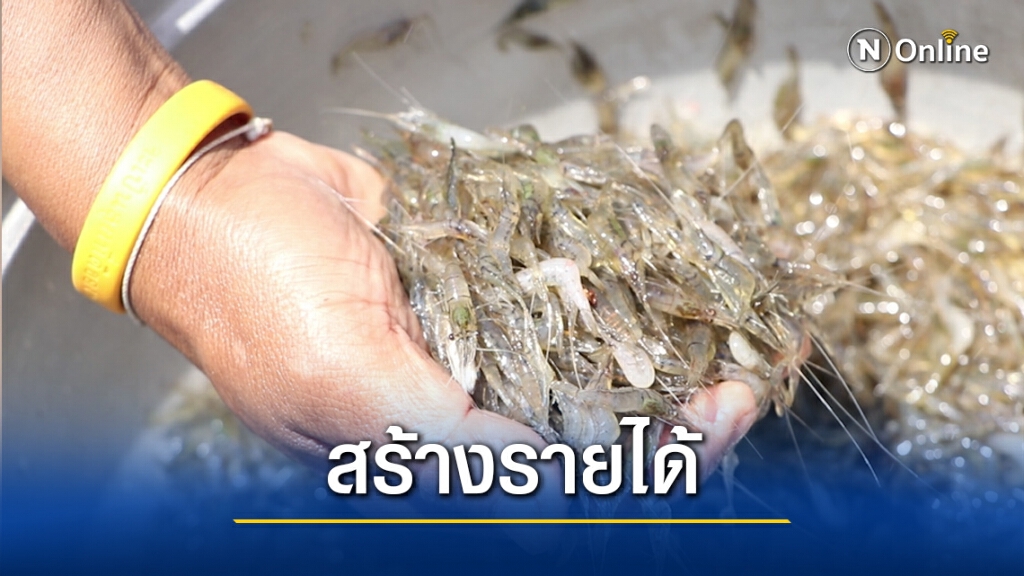 สร้างอาชีพชาวบ้าน สู้วิกฤตโควิด-19