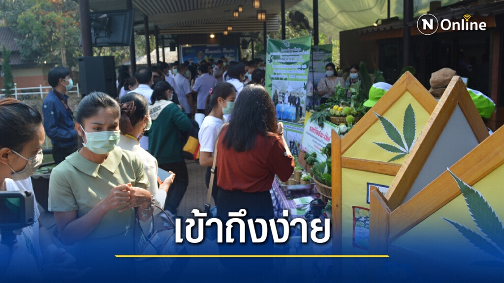 จัดมหกรรมกัญชาต่อยอดสมุนไพรเพื่อเศรษฐกิจไทเลย จัดมหกรรมกัญชาต่อยอดสมุนไพรเพื่อเศรษฐกิจไทเลย