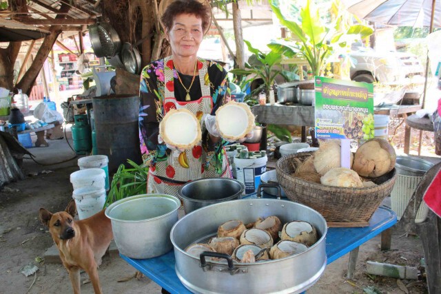 โหนกระแสมะพร้าวฟีเวอร์ปรุงข้าวหลามสูตรน้ำมะพร้าวเอาใจลูกค้า