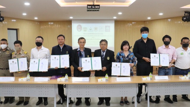 ขับเคลื่อนกัญชาเต็มสูบ เชื่อม7 หน่วยงานทำเอ็มโอยู