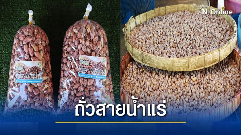 เชิญชิม"ถั่วสายน้ำแร่"บ้านผาบ่อง เชิญชิม"ถั่วสายน้ำแร่"บ้านผาบ่อง