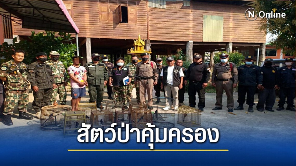 จับหนุ่มค้า"นกกางเขนดง"ผ่านออนไลน์ จับหนุ่มค้า"นกกางเขนดง"ผ่านออนไลน์