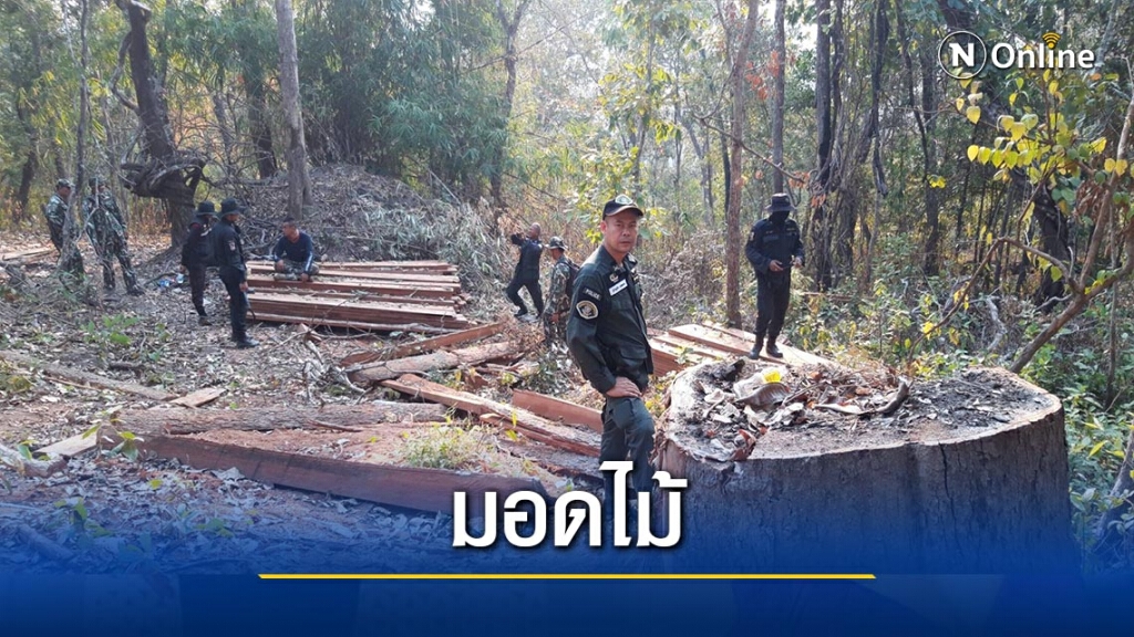 ยึดไม้ในป่าสงวนฯ"แม่สอด" ยึดไม้ในป่าสงวนฯ"แม่สอด"