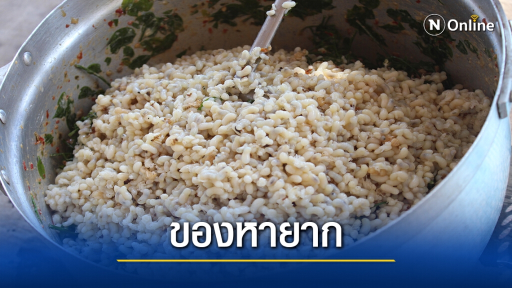 สุดยอดเมนูหน้าแล้ง ห่อหมกผักหวานไข่มดแดง