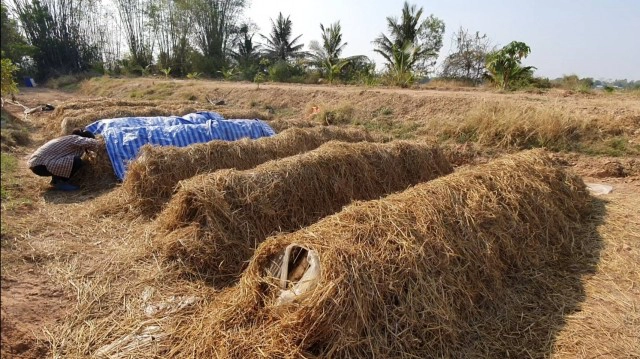 สาวตกงานจากพิษโควิด ยึดอาชีพเพาะเห็ดฟางขายรายได้งาม