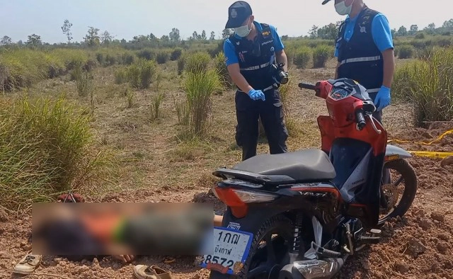 อนาถหนุ่มออกล่าหนูนากลางคืนปืนลั่นใส่สมองกระจาย