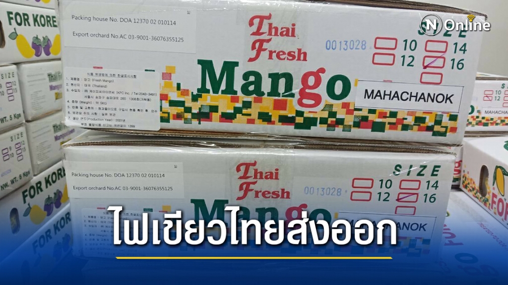 ไทยเฮ!! เกาหลีใต้ ไฟเขียวไทยส่งออกมะม่วงมหาชนกครั้งแรกของประเทศ ไทยเฮ!! เกาหลีใต้ ไฟเขียวไทยส่งออกมะม่วงมหาชนกครั้งแรกของประเทศ