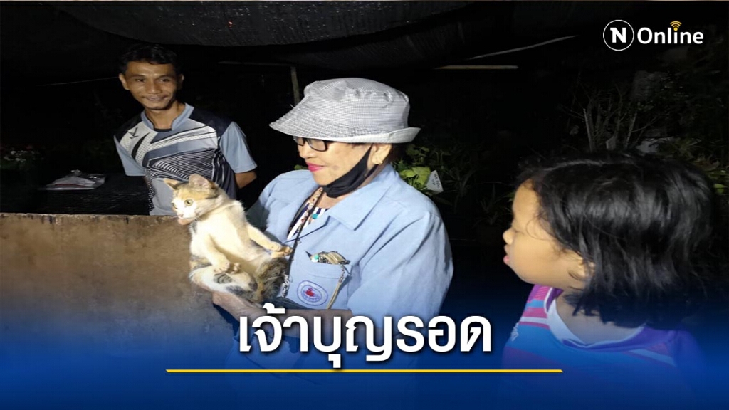 กู้ภัยช่วยแมวติดในบ่อน้ำลึก 10 เมตรนาน 2 วัน กู้ภัยช่วยแมวติดในบ่อน้ำลึก 10 เมตรนาน 2 วัน