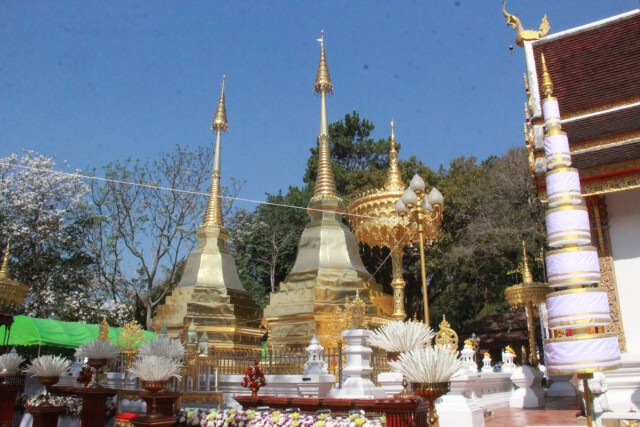จัดพิธีสืบชะตาหลวง "รวมพลคนเกิดปีกุน"