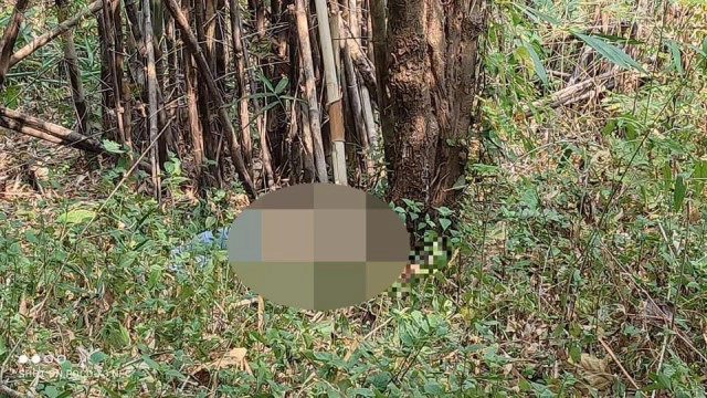 จับอดีตตร.ตม.ฆ่าแฟนสาว-ขนศพทิ้งอำพรางคดี