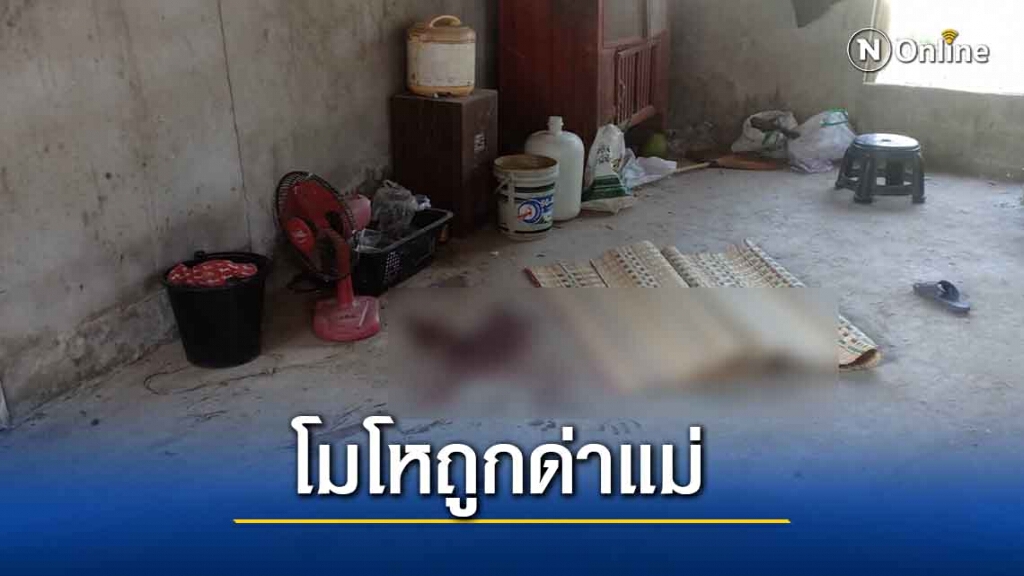 สุดโหด พ่อเฒ่าวัย 71 ฟันเมียดับ อ้างถูกด่าบุพการี