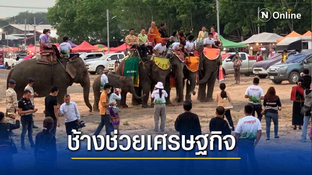 เปิดปางช้างชายแดน ถนนสายวัฒนธรรมดึงเศรษฐกิจ