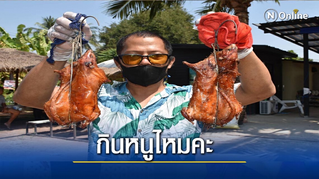 หนุ่มคิดฆ่าตัวตาย-ผันเลี้ยงหนูนาในโอ่งมังกร