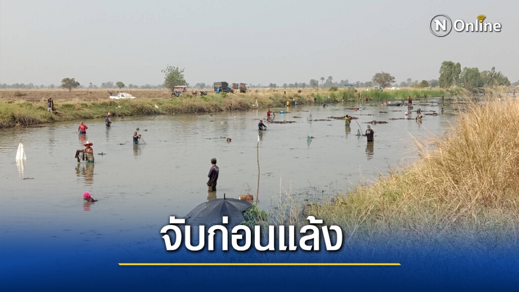 แห่ซื้อบัตรจับปลาคึกคัก หารายได้พัฒนาชุมชน แห่ซื้อบัตรจับปลาคึกคัก หารายได้พัฒนาชุมชน
