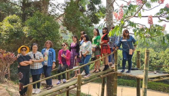แห่เซลฟี่ "ดอกชมพูภูคา"บานสะพรั่ง