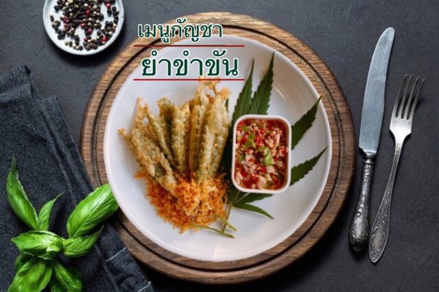 "ชาบูอินดี้"นำกัญชาปรุงน้ำซุปอารมณ์ดี
