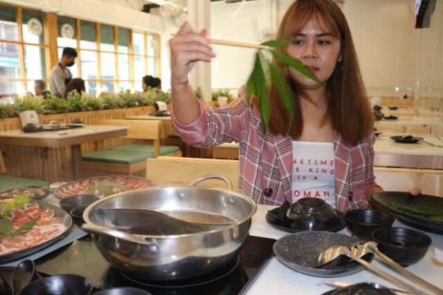 "ชาบูอินดี้"นำกัญชาปรุงน้ำซุปอารมณ์ดี