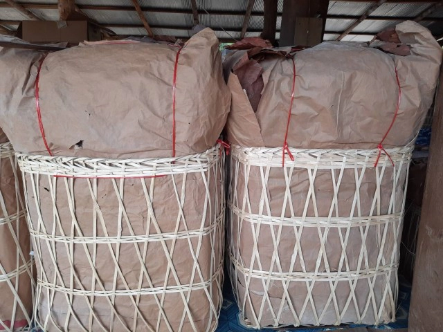 "ยาสูบ"พืชทำเงิน-สร้างรายได้อย่างงาม