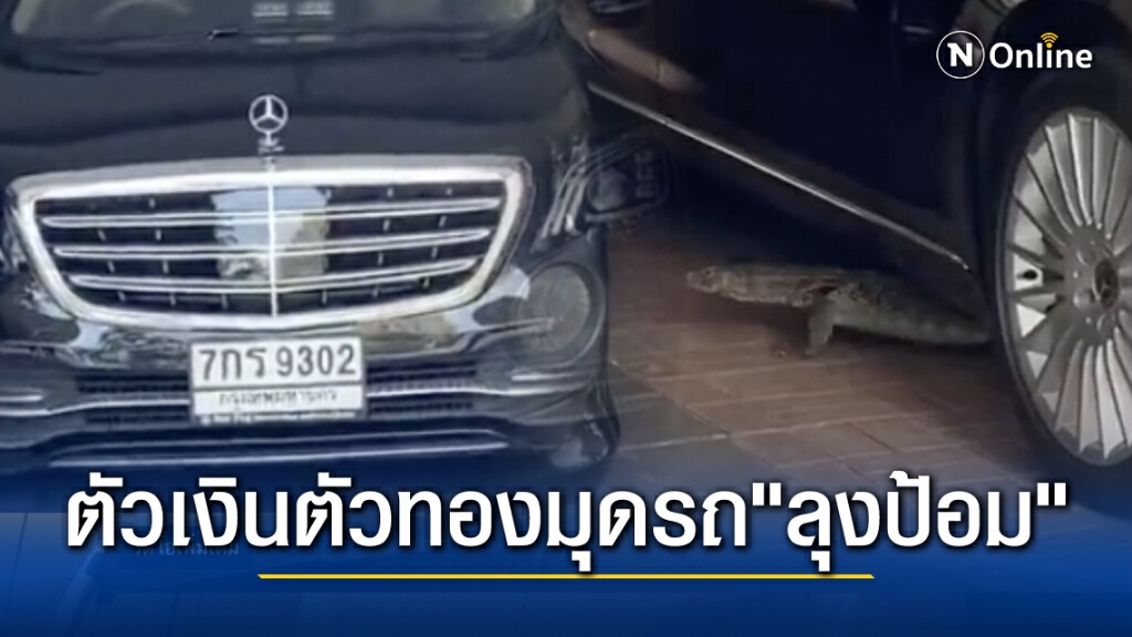 ตัวเงินตัวทองโผล่ใต้รถ "บิ๊กป้อม" แห่ส่องเลขทะเบียนตีหวย