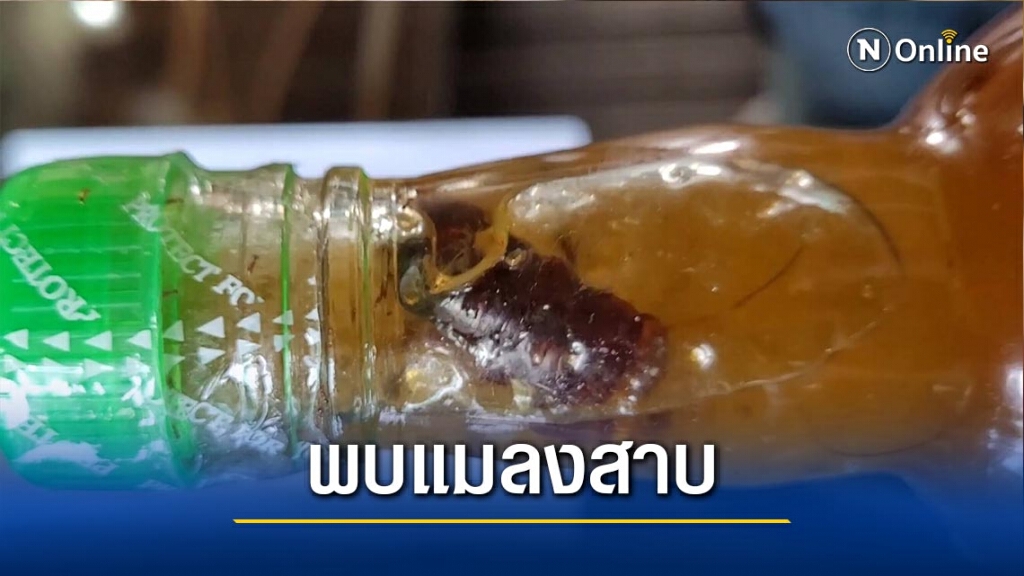 ผงะพบแมลงสาบในขวดน้ำจิ้มบ๊วย
