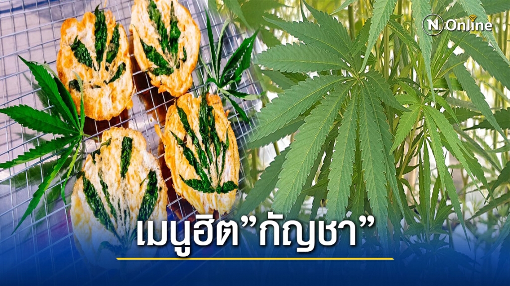 ปลดล็อค"กัญชา"สู่อุตฯอาหาร-เครื่องดื่ม