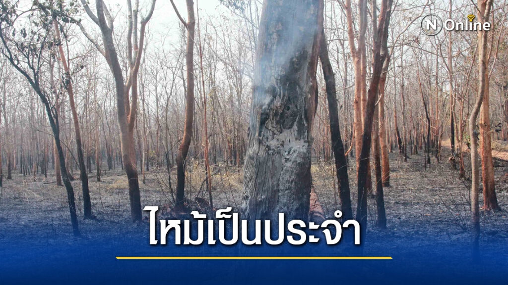 ไฟป่าโหมไหม้ป่าดงระแนงวอดเบื้องต้น 500 ไร่