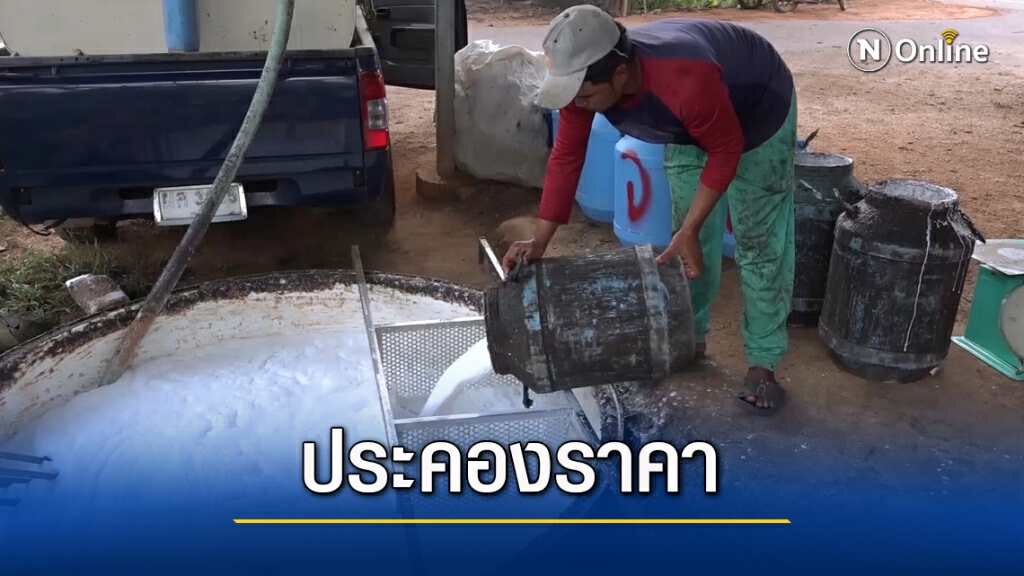 ชาวสวนเฮ ราคายางสูงวอนรัฐช่วยประคอง