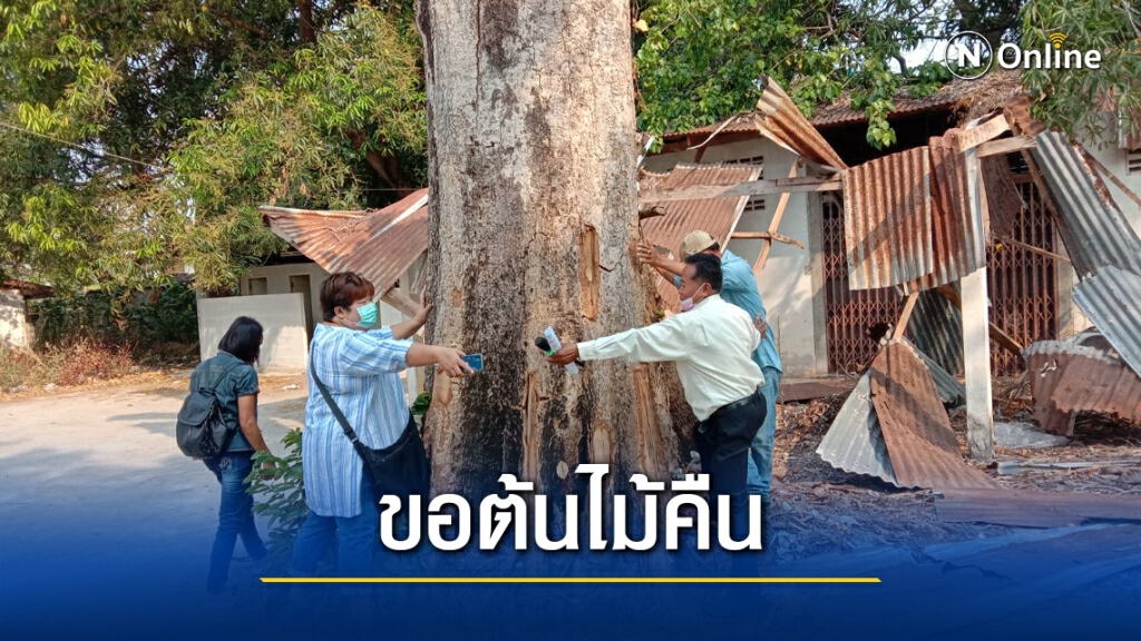 ทวงคืนต้นไม้นายทุนตัดในที่ราชพัสดุ ทวงคืนต้นไม้นายทุนตัดในที่ราชพัสดุ