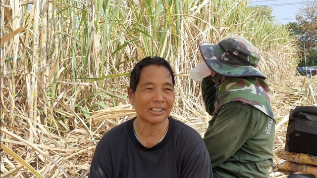 เร่งตัดอ้อยส่งโรงงานหลังผ่านมาตรฐานมลพิษเดินเครื่องได้