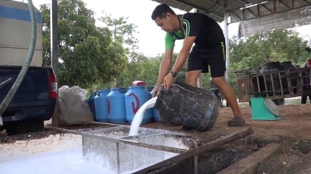 ชาวสวนเฮ ราคายางสูงวอนรัฐช่วยประคอง
