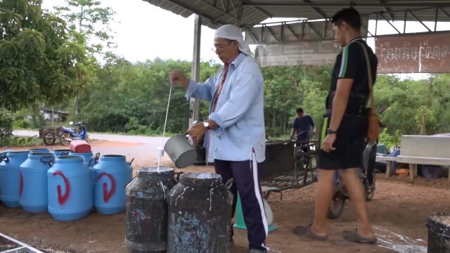 ชาวสวนเฮ ราคายางสูงวอนรัฐช่วยประคอง