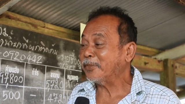 ชาวสวนเฮ ราคายางสูงวอนรัฐช่วยประคอง