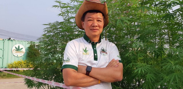 ปลดล็อค"กัญชา"สู่อุตฯอาหาร-เครื่องดื่ม