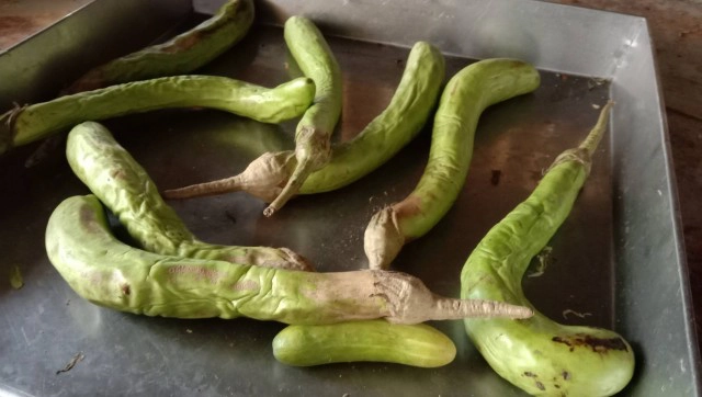 ธารน้ำใจหลั่งไหลช่วยโรงเรียนวัดโนนเมือง