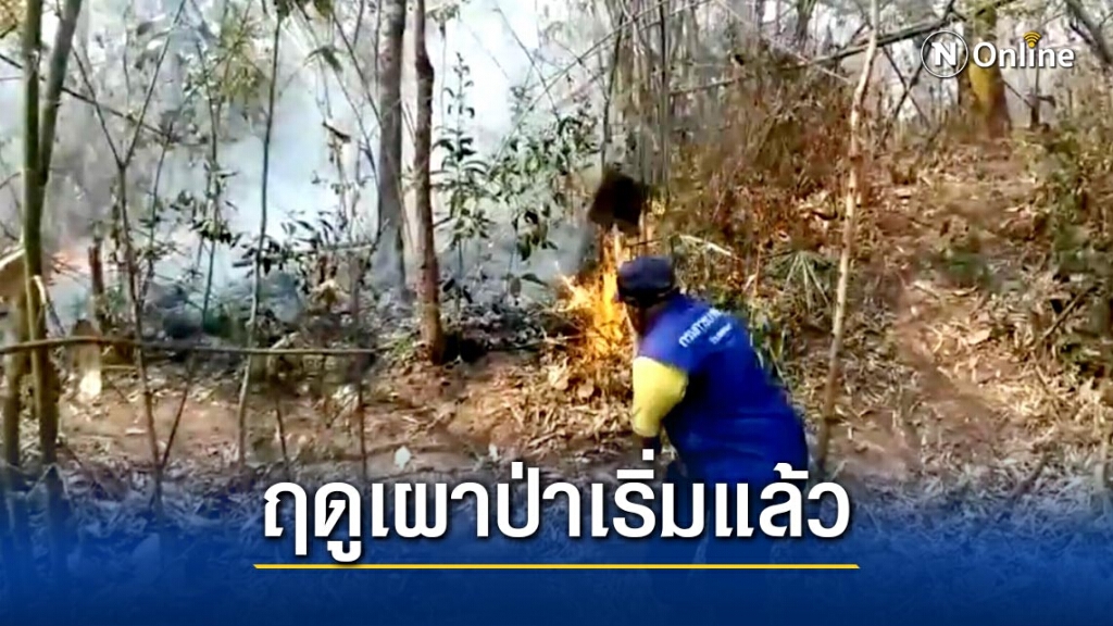 จัดชุดเคลื่อนที่ลาดตระเวนเข้มข้นป้องกันไฟป่า จัดชุดเคลื่อนที่ลาดตระเวนเข้มข้นป้องกันไฟป่า