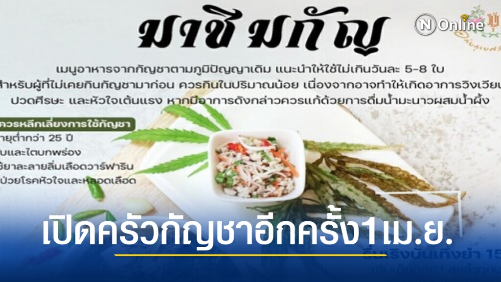 ครัวกัญชาอภัยภูเบศร เปิดอีกครั้ง 1 เมษายนนี้ ครัวกัญชาอภัยภูเบศร เปิดอีกครั้ง 1 เมษายนนี้