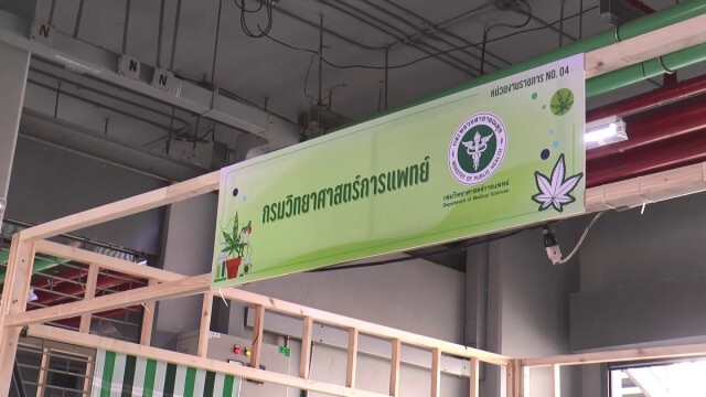เร่งจัดสถานที่ "กัญชากัญชง 360 องศา"รับคนร่วมงานนับหมื่น