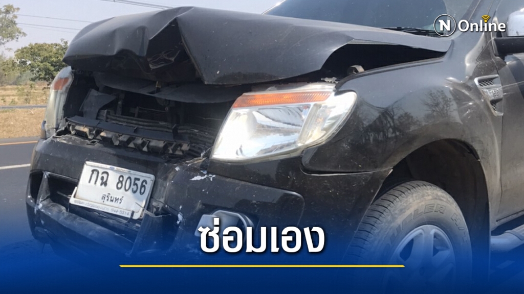 ควายวิ่งตัดหน้ารถชนเต็มแรงหวิดดับแถมต้องซ่อมรถเองเฉียดแสน ควายวิ่งตัดหน้ารถชนเต็มแรงหวิดดับแถมต้องซ่อมรถเองเฉียดแสน