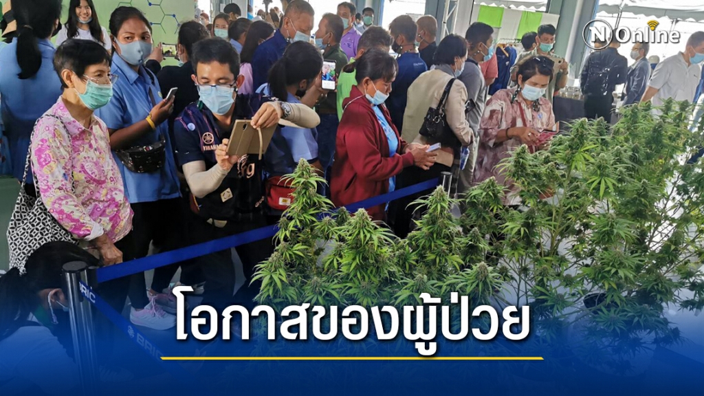 แห่ร่วมงาน "กัญชากัญชง 360 องศา" คัดกรองเข้มป้องกันโควิด แห่ร่วมงาน "กัญชากัญชง 360 องศา" คัดกรองเข้มป้องกันโควิด